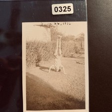 Person Handstand 1936 Snapshot