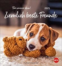Ziemlich beste freunde - beste,