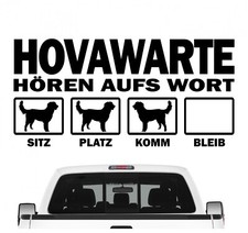 Hovawart Hovi Working hovewart