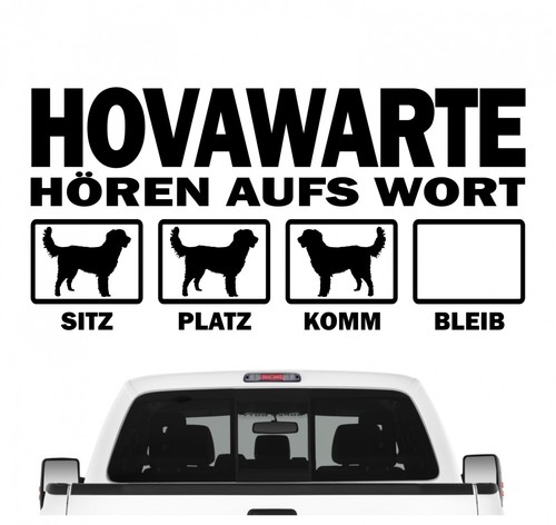 Hovawart hovi working hovewart - hovawart,