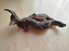 Mangroven Wurzel Aquarium