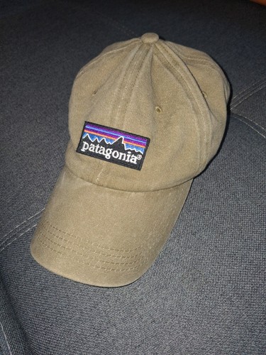 Patagonia dad cap grün