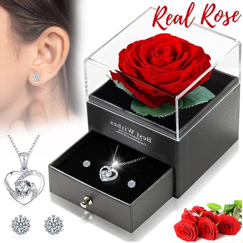 Ewige echte rose - ewige,