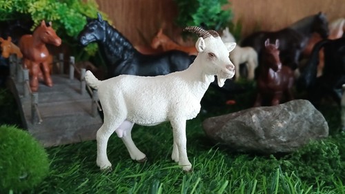 Schleich 13719 hausziege - schleich,