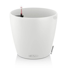 Lechuza Classico Color 21