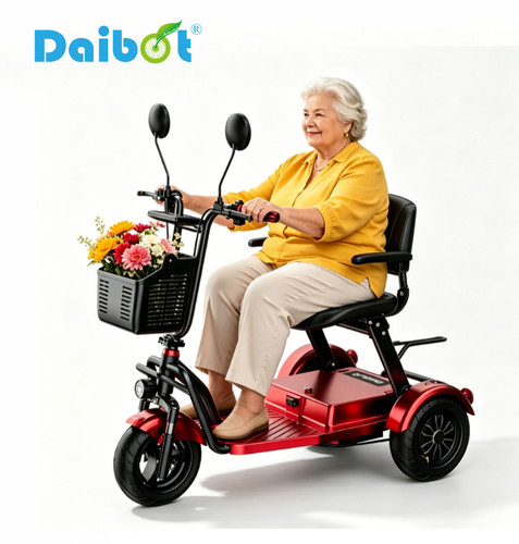 1000w 48v dual - dual, faltbarer