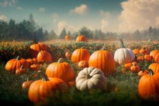 Wandbild: Idyllische