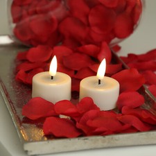 LED Teelichter Mia Deluxe