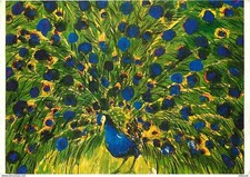 AK - Tiere - Vögel - Pfau -