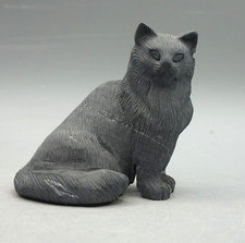 NORWEGISCHE WALDKATZE aus