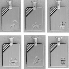 STERNZEICHEN ANHÄNGER MIT