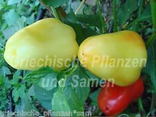 ? ?️ Pusztagold Paprika aus Ungarn frühe Sorte 10 frische Samen Balkon Kübel