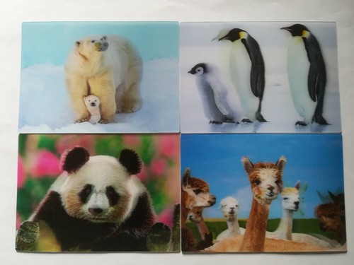 Ansichtskarte eisbär - d,
