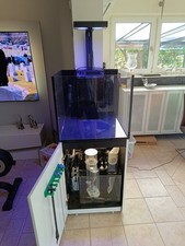 Meerwasseraquarium Red Sea