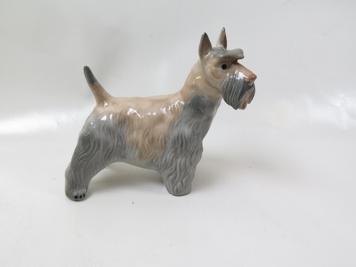 Scottish terrier - scottish,