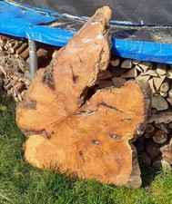Holzscheibe apfelholz - holzscheibe,