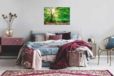 Living Walls Leinwandbild DD120310 Wald Baum Sonne Keilrahmenbild  60 cm x 90 cm