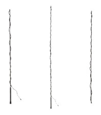 Longierpeitsche zerlegbar - longierpeitsche,,
