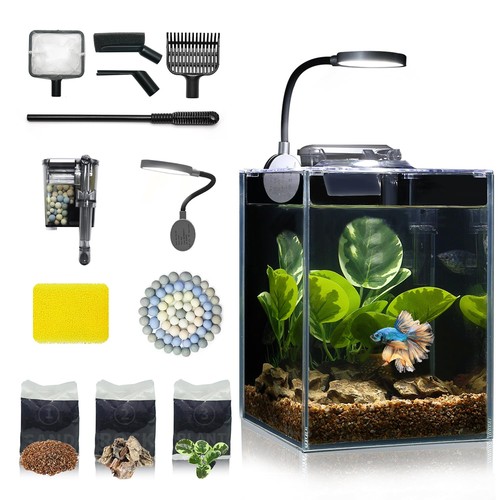 Desktop betta kleines - desktop,