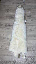 Saga fox blaufuchs fell pelz - blaufuchs,