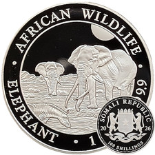Somalia Elefant 2026 Silbermünze 1oz Silber Ag 999,9 African Wildlife