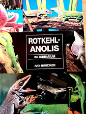 Reptilien: ROTKEHL-ANOLIS Kauf Haltung Ernährung Zucht TERRARIUM