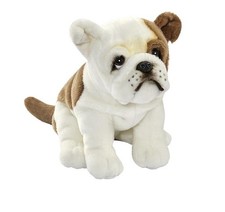 Anima 1643 Französische