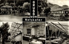 Ak Netzkater Ilfeld am Harz Thüringen,  mit Schriftzug, Hotel und... - 4778564