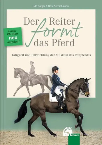 Der reiter formt das - reiter, pferd