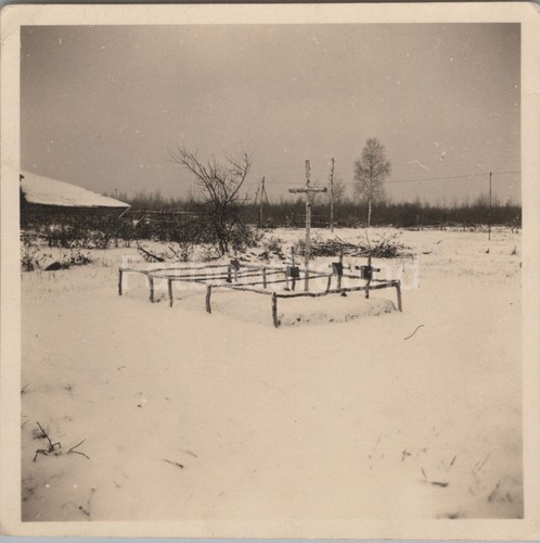 2024 261 foto - x, (rb)2024-261,