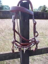 Kappzaum aus Leder Gr. Cob / Vollblut ,hellbraun