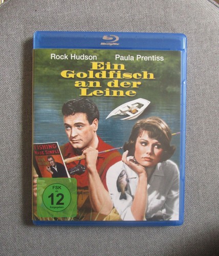 Ein goldfisch der leine - ein, an