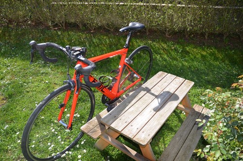 Rennrad bmc team machine - rennrad, slr