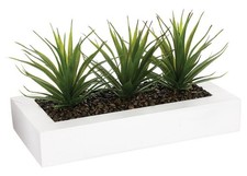 Kunstblume aloe veras im - kunstblume,