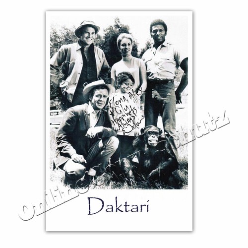 Daktari cast signiert von - daktari,