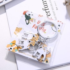 Jack Russell Terrier