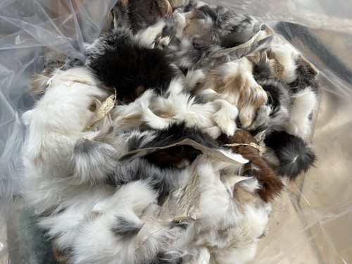 Kaninchen fellreste 1kg - fellreste,