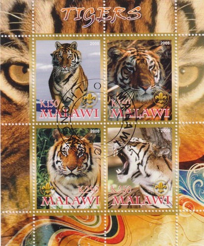 Tiger malawi gestempelt 9882 - tiger,