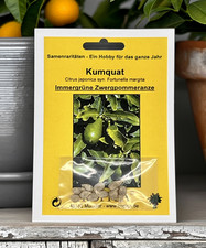 Kumquat  (Citrus japonica syn. Fortunella margita)