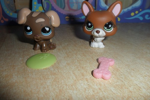 Littlest pet shop boxer - littlest,