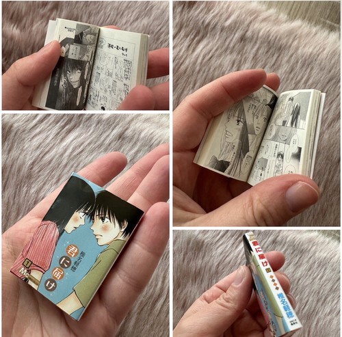 Miniatur manga kimi ni - manga,
