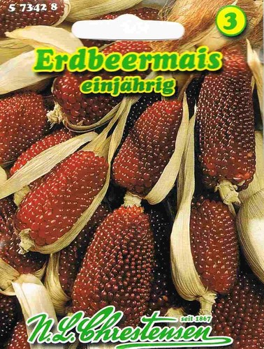 Erdbeermais zea mays - erdbeermais,