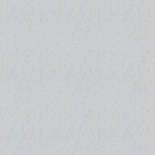 NIB Roll of Carlucci di