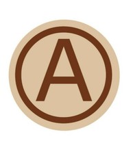 3RD ARMY Desert Camo Vinyl