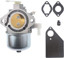 Replaces Carburetor For Briggs
