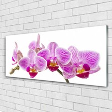 Glasbilder Wandbild Druck auf