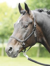 Lederhalfter nobility - lederhalfter,