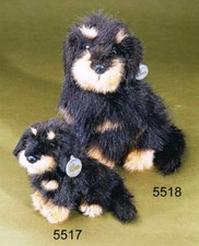 FÖRSTER   RAUH-LANGHAARDACKEL