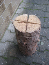 Schwedenfeuer Finnenfackel 33