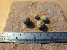 Englischer Bürgerkrieg Blei